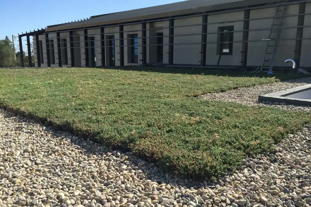 Toiture-terrasse mêlant végétalisation et bande de gravillons en périphérie