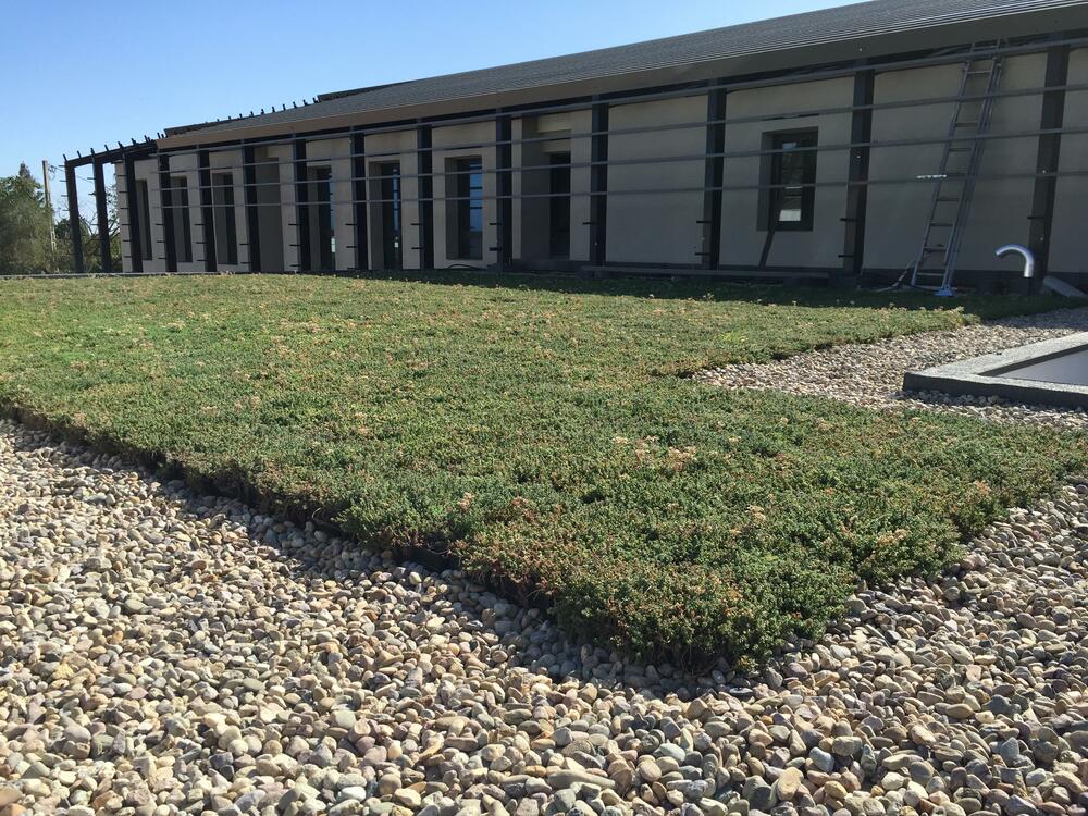 Étanchéité toiture copropriété